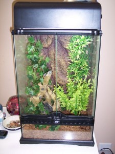 Terrarium vertical