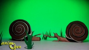 " Bêtes de sexe, la séduction dans le monde animal " : une exposition qui annonce ses couleurs