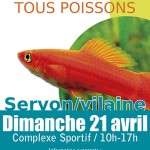 Bourse aux poissons et coraux à Servon sur Vilaine (35), le dimanche 21 avril 2013