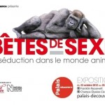 Exposition, " Bêtes de sexe "