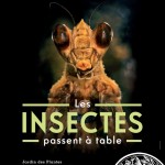 Exposition " Les Insectes Passent à Table " à Paris (), du mercredi 17 avril au 1 er octobre 2013