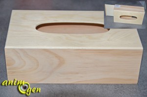 Perroquets : fabriquez une boîte à trésor avec une boîte à mouchoirs