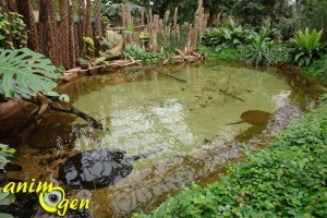 Visite de la serre zoologique Biotropica à Val de Reuil dans l'eure