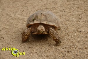 Visite de la serre zoologique Biotropica à Val de Reuil dans l'eure