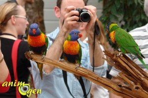 Visite de la serre zoologique Biotropica à Val de Reuil dans l'eure