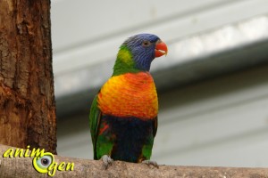 Visite de la serre zoologique Biotropica à Val de Reuil dans l'eure