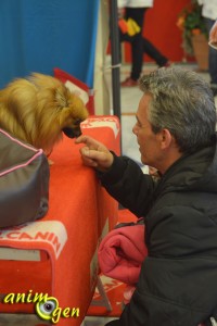 AnimOgen vous emmène au Salon du chiot 2013, à Saint Raphaël