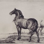 A la découverte de l'exposition " Vivre avec les animaux au XVII ème siècle ", à Paris (75)