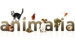 " Salon Animalia St Gallen " à Saint Gall, en Suisse, le samedi 04 et le dimanche 05 mai 2013