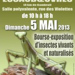 2 ème Salon d'Entomologie à Escaudoeuvres (59), dimanche 05 mai 2013