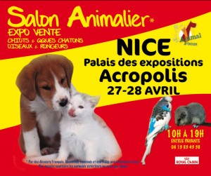 Salon animalier " Animal Focus " à Nice (06), samedi 27 et dimanche 28 avril 2013