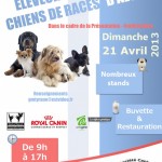 Présentation-Confirmation de chiens toutes races à Guebwiller, dimanche 21 avril 2013