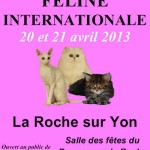 Exposition Féline Internationale à La Roche sur Yon (85), samedi 20 et dimanche 21 avril 2013
