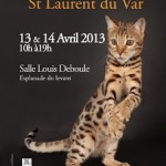 Exposition Féline à Saint Laurent du Var (06), samedi 13 et dimanche 14 avril 2013