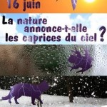 La nature annonce-t-elle les caprices du ciel ?