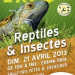 Expo reptiles et insectes