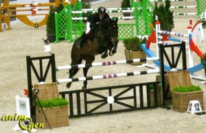 Saut Hermès : les meilleurs cavaliers de jumping sous la verrière du Grand Palais à Paris