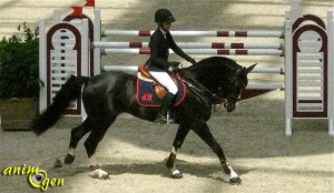 Saut Hermès : les meilleurs cavaliers de jumping sous la verrière du Grand Palais à Paris