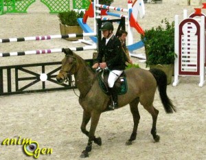 Saut Hermès : les meilleurs cavaliers de jumping sous la verrière du Grand Palais à Paris