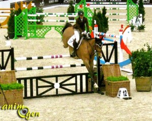 Saut Hermès : les meilleurs cavaliers de jumping sous la verrière du Grand Palais à Paris