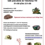 Bourse aux reptiles à Tolochenaz (Suisse), le dimanche 09 juin 2013