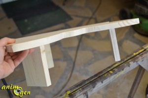 Accessoire pour rongeurs : comment fabriquer une plateforme