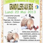 Fête animalière " Présentation d'animaux de Basse-cour " à Grandvillers aux Bois (60), le lundi 20 mai 2013