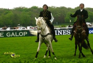 Equitation : Mario Luraschi fait son spectacle à Longchamp