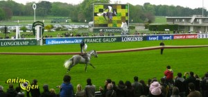 Equitation : Mario Luraschi fait son spectacle à Longchamp