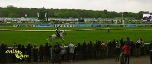 Equitation : Mario Luraschi fait son spectacle à Longchamp