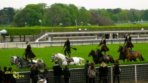 Equitation : Mario Luraschi fait son spectacle à Longchamp