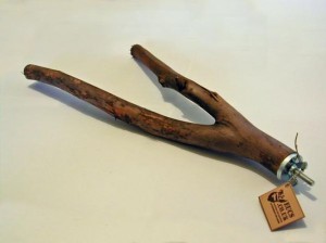 Les perchoirs de nos perroquets : utilité, choix et emplacement