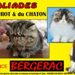 " Animaliades, Salon du chiot et du Chaton " à Bergerac (21), du samedi 11 au dimanche 12 mai 2013