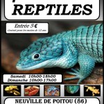 4 ème Bourse aux Reptiles à Neuville de Poitou (86), samedi 08 et dimanche 09 juin 2013