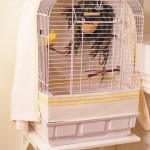 Accessoire : comment choisir la cage idéale pour nos canaris et petits oiseaux exotiques ?