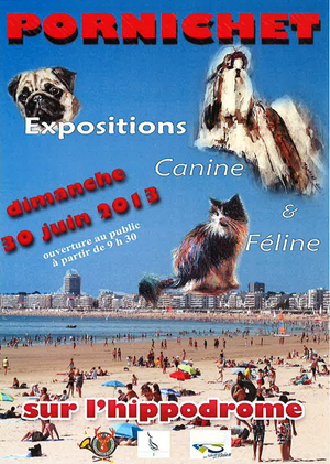 Exposition canine et féline à Pornichet (44), le dimanche 30 juin 2013