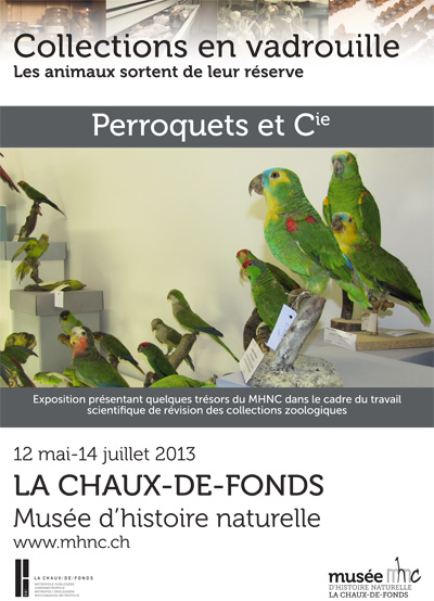 Exposition "Perroquets et Cie" à La Chaux de Fonds (Suisse), du 12 mai au 14 juillet 2013