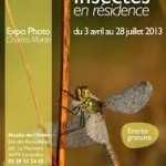 Exposition de photos Charles Martin, "Insectes en résidence" à Carquefou (44), du mercredi 03 avril au vendredi 28 juillet 2013