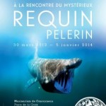 Exposition "A la rencontre du mystérieux requin pélerin", à Concarneau (29), du 30 mars 2013 au 05 janvier 2014