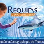 Le Musée Océanographique de Monaco présente l'exposition "Requins", du 08 juin 2013 jusqu'en 2015