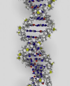 Génétique simplifiée : les différence entre mutation et hybridation