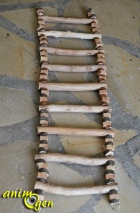 Accessoire à fabriquer pour nos perroquets : échelle en bois aux montants en chaîne métallique