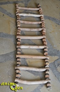 Accessoire à fabriquer pour nos perroquets : échelle en bois aux montants en chaîne métallique