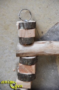 Accessoire à fabriquer pour nos perroquets : échelle en bois aux montants en chaîne métallique