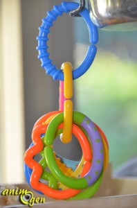 Jouet pour perroquet par détournement d'objet : hochet Baby, "Ring rattle" (Carrefour)