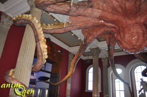 Les splendeurs marines du musée océanographique de Monaco