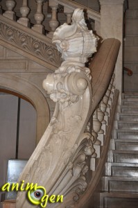 Les splendeurs marines du musée océanographique de Monaco