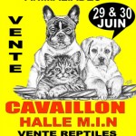 4 ème Salon des Animaux de Compagnie Animaliades à Cavaillon (84), samedi 29 et dimanche 30 juin 2013