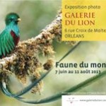 Exposition de photographies "Faune du Monde" à Orléans (45), du vendredi 07 juin au dimanche 11 août 2013