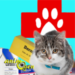 Santé : trousse à pharmacie de premiers soins pour le chat